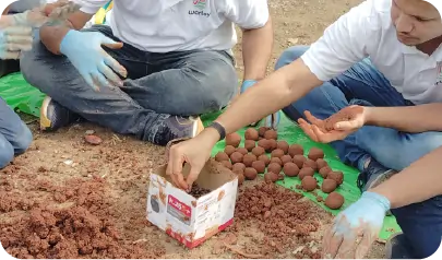 Seedballs being collected and arranged for deployment 